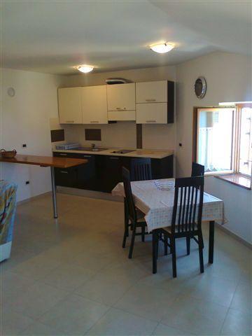 Apartments Edo Novigrad  Exterior photo
