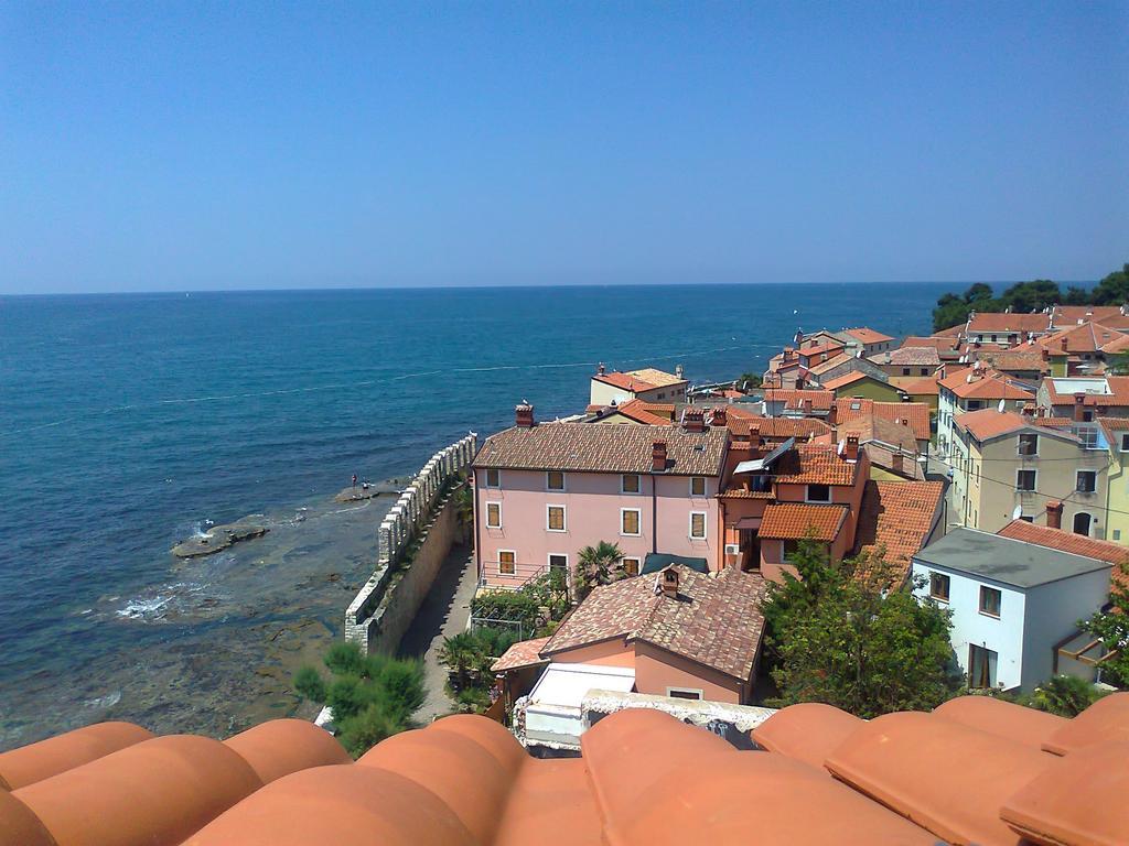 Apartments Edo Novigrad  Exterior photo
